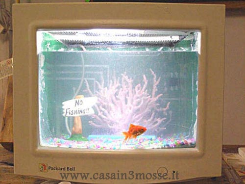casain3mosse - monitor acquario.jpg
