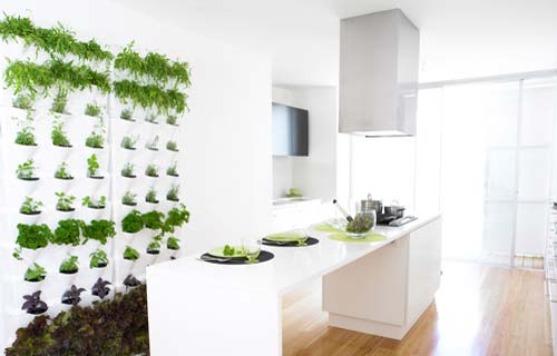 casain3mosse - giardino verticale in cucina