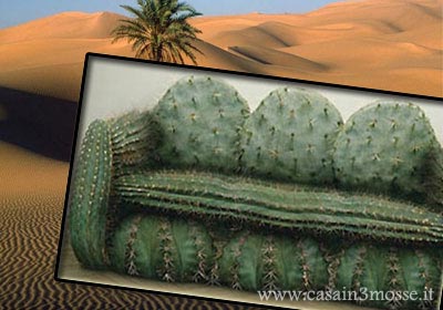 casain3mosse - divano cactus.jpg